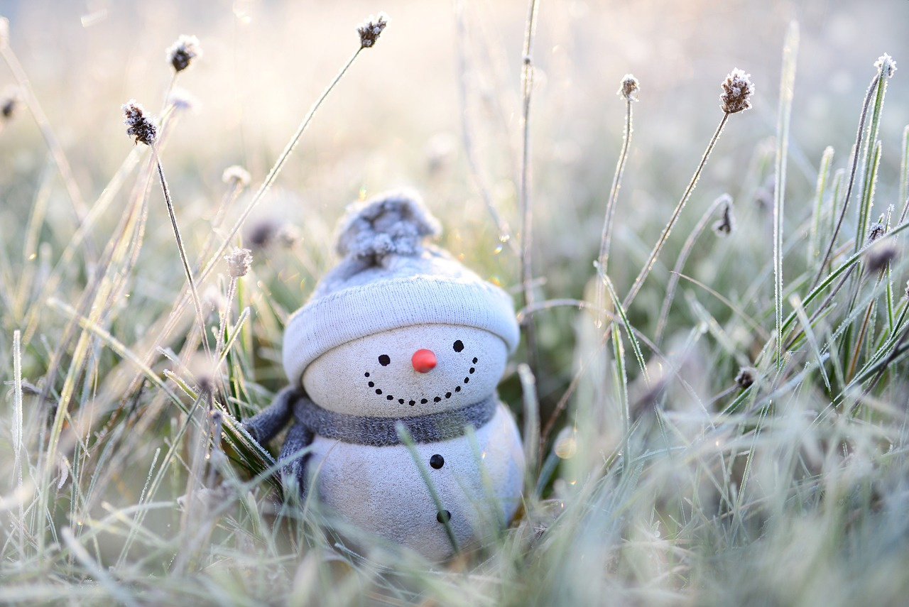 snowman-4674856_1280.jpg
